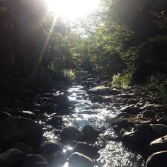 the sun shines brightly through the trees over a river with rocks and boulders in it