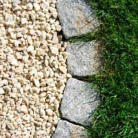 the grass is growing between two stones