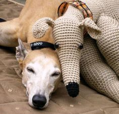 a dog laying on top of a bed next to a stuffed animal sheep head and leg