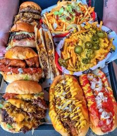 a tray filled with lots of different types of food next to fries and hot dogs