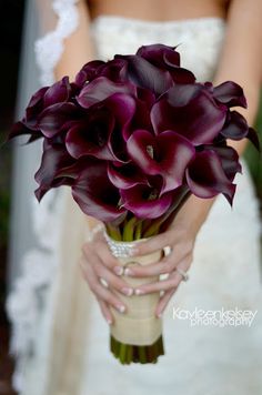 a bride holding a bouquet of purple flowers