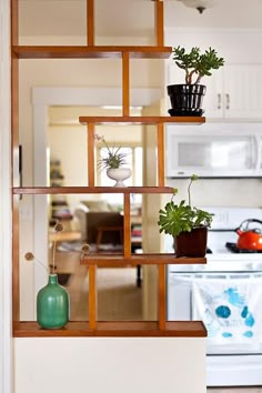 there is a shelf with plants on it in the kitchen