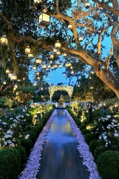 the walkway is lined with flowers and lit up lanterns in the distance are trees, shrubs, and bushes