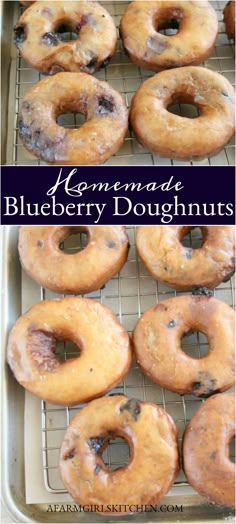 homemade blueberry doughnuts on a cooling rack with the words homemade blueberry doughnuts above them