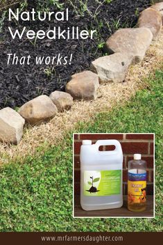 a bottle of weedkiller sitting next to a garden bed with grass and rocks