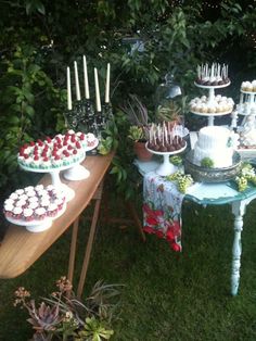 a table topped with cakes and cupcakes on top of green grass next to trees