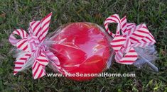 an apple and two candy canes laying on the grass