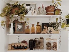 the shelves are filled with different types of plants and vases on top of them