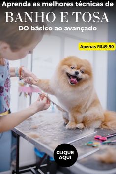 a little dog getting his teeth brushed by a woman in front of him with the caption above it