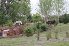 two animals standing on top of a lush green hillside next to a waterfall and trees