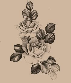 a black and white drawing of some flowers