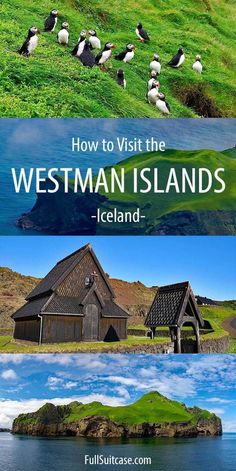 how to visit the westman islands in iceland