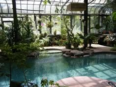 an indoor pool surrounded by plants and rocks