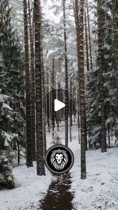 a snowy forest with trees and snow on the ground in front of it is an image of a lion's head