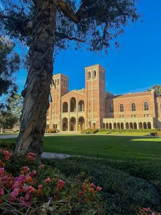 a large building that is next to a tree in the middle of some grass and flowers