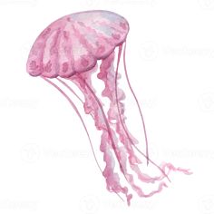 a watercolor painting of a pink jellyfish