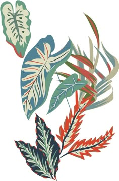 colorful tropical leaves on a white background