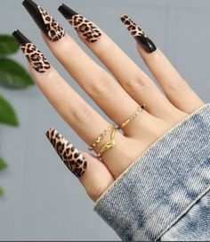 Red Colorful Nails, Chetta Print Nail, Lepord Nails Designs, Leopard Gel Nails, Animal Print Uñas, Uñas Animal Print, Leopard Nail Designs, Matte Acrylic Nails, Cheetah Nail Designs