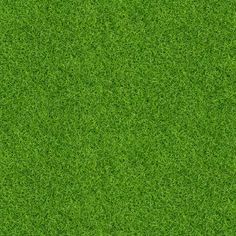 the green grass texture is very high resolution