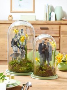 two glass cloches with pictures in them on top of a table next to flowers