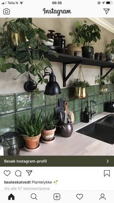 the kitchen is decorated with potted plants