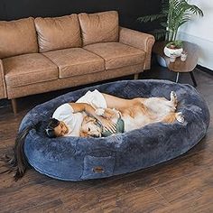 a woman laying on top of a dog bed in a living room next to a couch