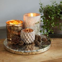 three candles are sitting on a tray with pine cones and other decorations around it,