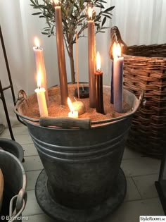 several candles are lit in a potted plant