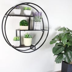 a round metal shelf with potted plants on it next to a houseplant