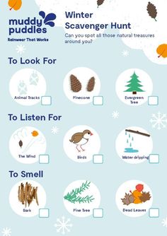 a poster showing the different types of trees and how they are used to describe them