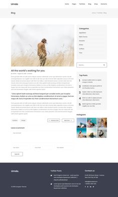 the wordpress theme is clean and modern