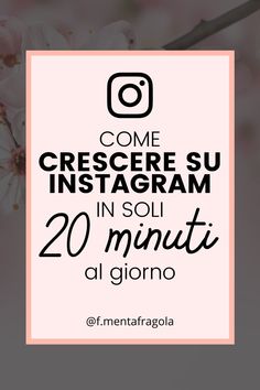 the words come crescere su instagramm in soi 20 minuti al giorno