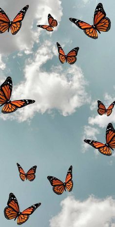 a group of orange butterflies flying in the air with clouds behind them and blue sky above