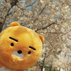 a yellow teddy bear standing in front of some cherry trees with white blossoms on it