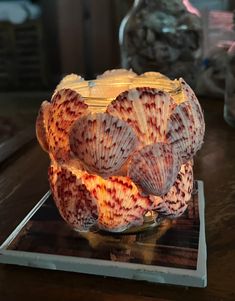 a glass bowl with seashells on it sitting on top of a wooden table