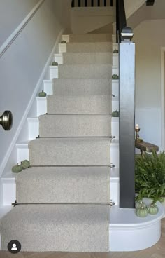 a staircase with carpeted steps leading up to the second floor and potted plants on either side