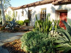 a house that has some plants in front of it