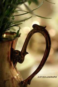 a close up of a vase with plants in it