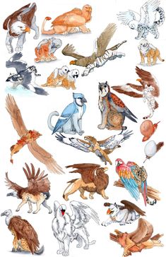 an image of many different birds and animals