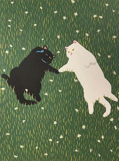 two cats are playing with each other in the grass, one is white and the other is black