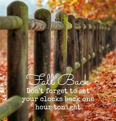 fall back don't forget to set your clocks back one hour tonight - quote