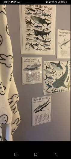 the bathroom is decorated with sea animals and pictures on the wall, along with hand towels