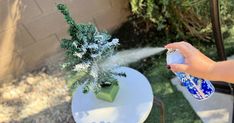 someone is spraying water on a small table with a plant in the center and other items around it