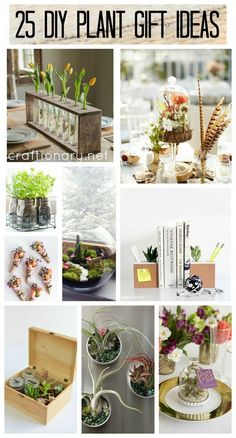 25 diy plant gift ideas that are perfect for the home or office in your life