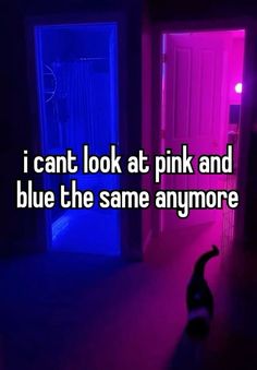 a cat is standing in front of an open door with the words i can't look at pink and blue the same anymore