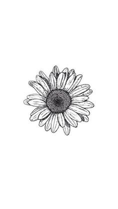 a black and white drawing of a sunflower