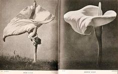 an open book with two pictures of flowers and one is upside down on the ground