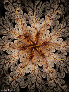 an abstract image of leaves and flowers in gold, brown, and white colors on a black background