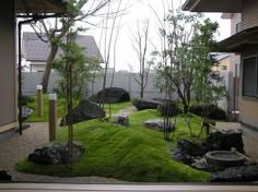 an outdoor garden with rocks, grass and trees