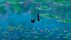 a black cat is floating in the water with lily pads